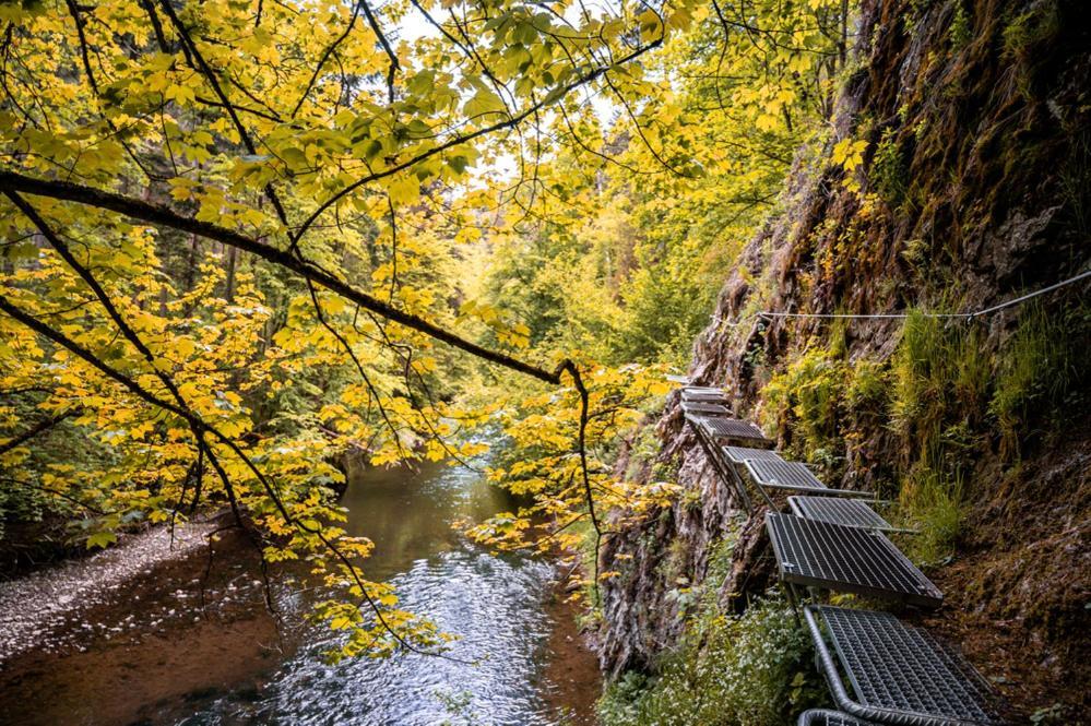 Turistická ubytovňa Spisske Tomasovce Exterior foto